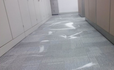 如何清洗地毯？地毯清洗的具體步驟詳解