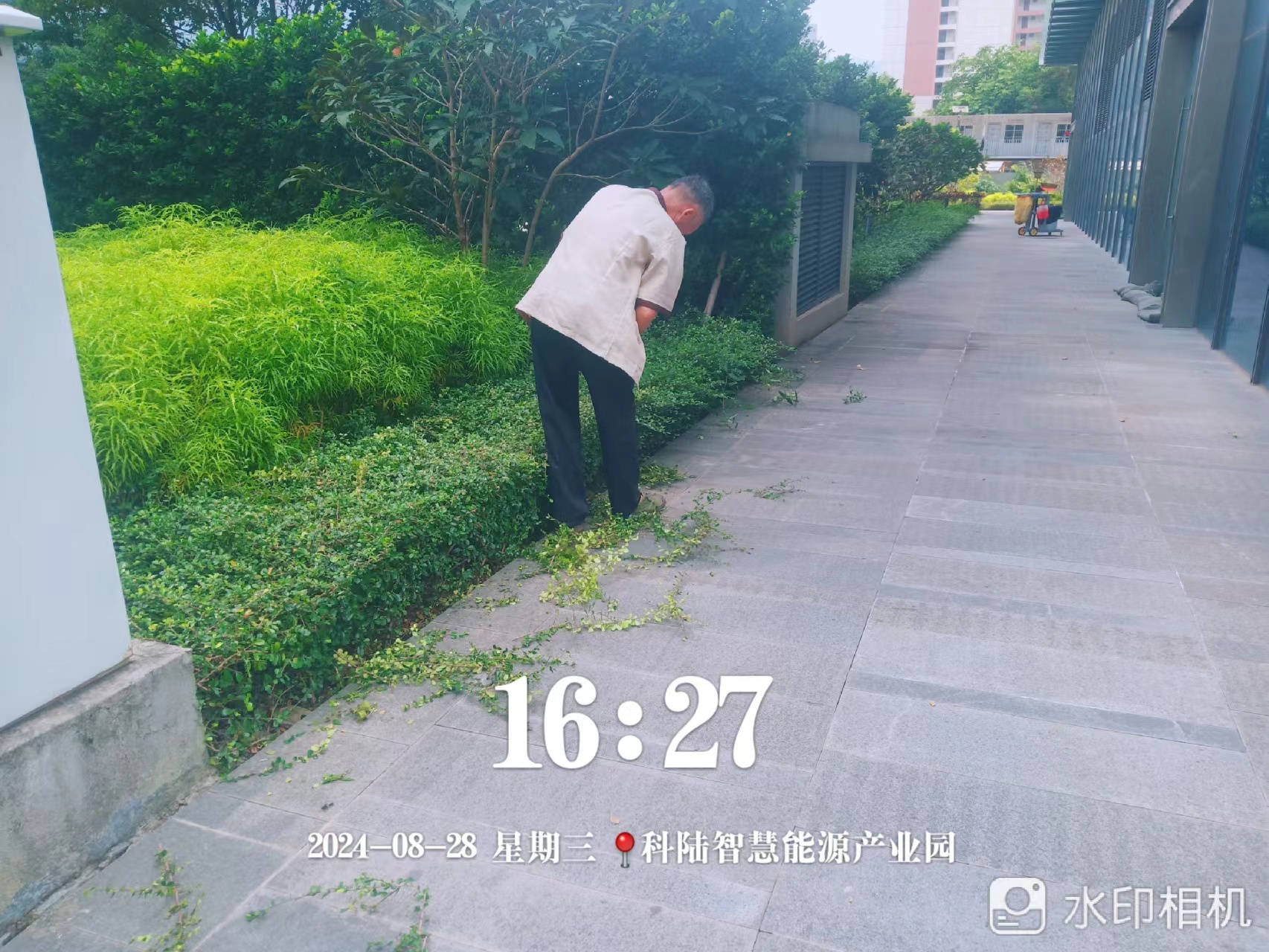 園區保潔員、園林綠化工作人員：揮汗如雨呵護綠色風景線